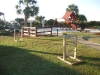Ladder Golf on the Gazebo Lawn