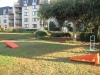 Cornhole on the Gazebo Lawn